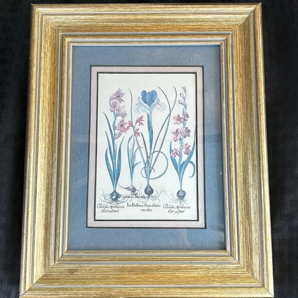 Vintage  flower print with wood  frame with glass , value $80